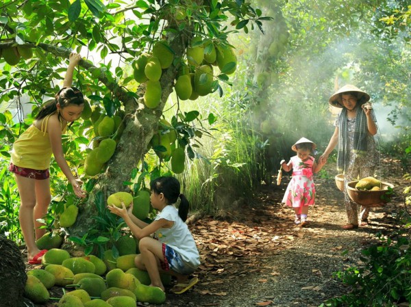 Bình Dương: Tổ chức Lễ hội Mùa trái chín vào giữa tháng 6