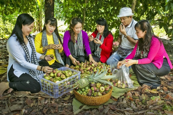 Bình Dương: Tổ chức Lễ hội Mùa trái chín vào giữa tháng 6