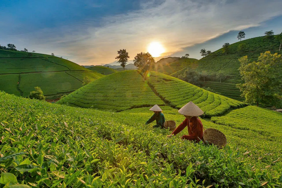 Du lịch sinh thái bền vững: Cơ hội và thách thức
