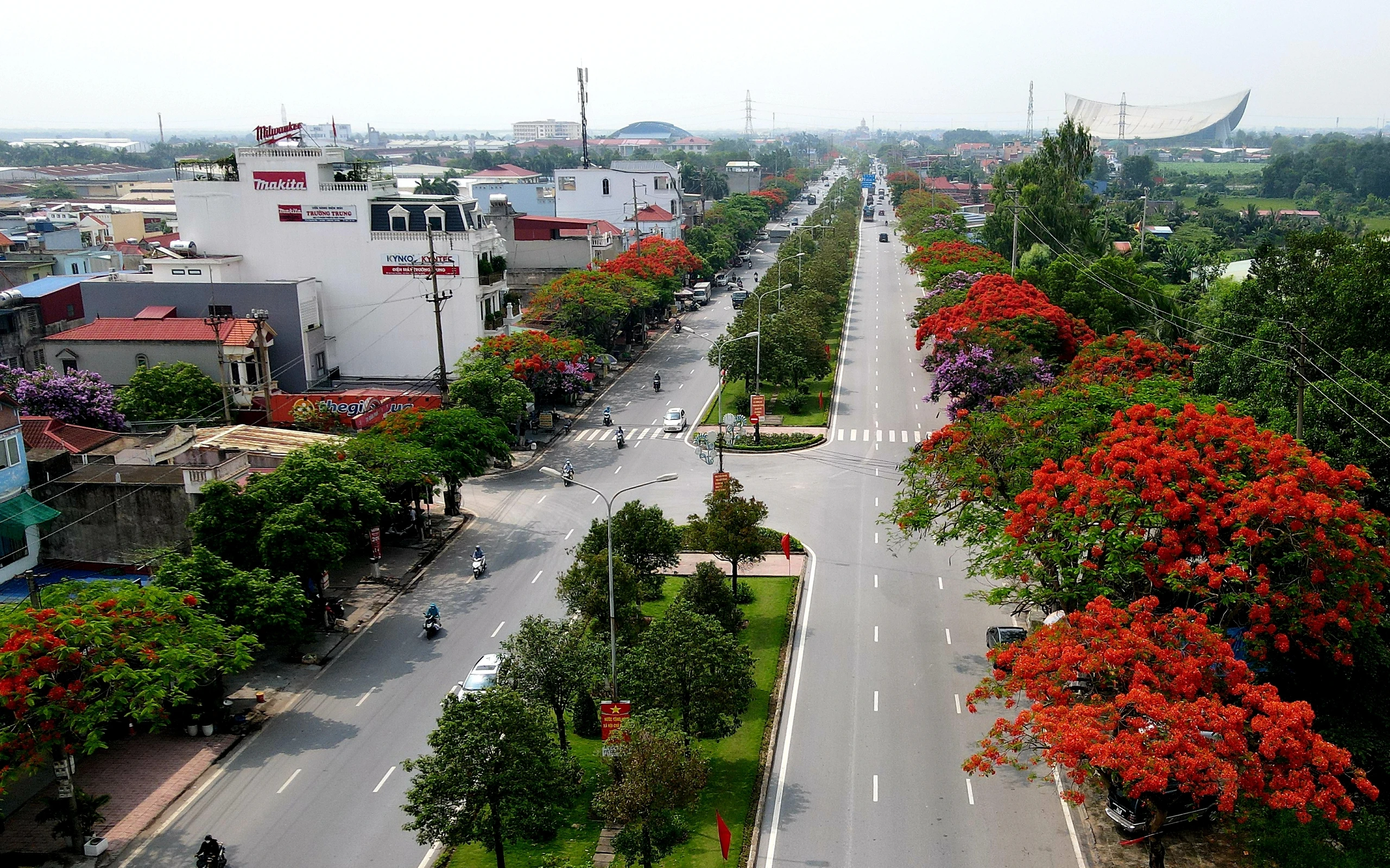 Hải Phòng rực cháy sắc đỏ hoa phượng, tím biếc hoa bằng lăng