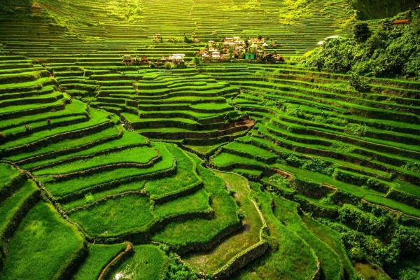 Ngôi làng ở Việt Nam trong top 20 đẹp nhất thế giới