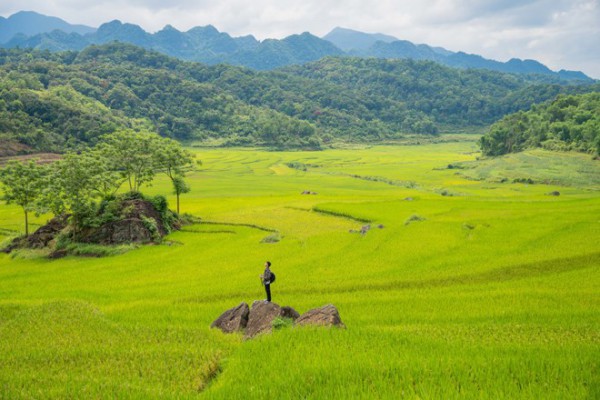 “Tây Bắc thu nhỏ của xứ Thanh” hớp hồn du khách bởi vẻ đẹp thơ mộng