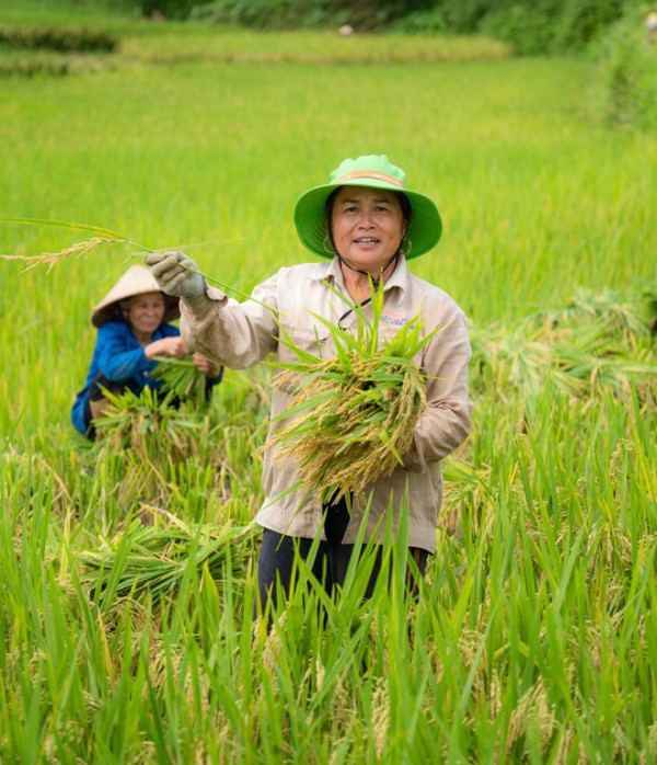 “Tây Bắc thu nhỏ của xứ Thanh” hớp hồn du khách bởi vẻ đẹp thơ mộng