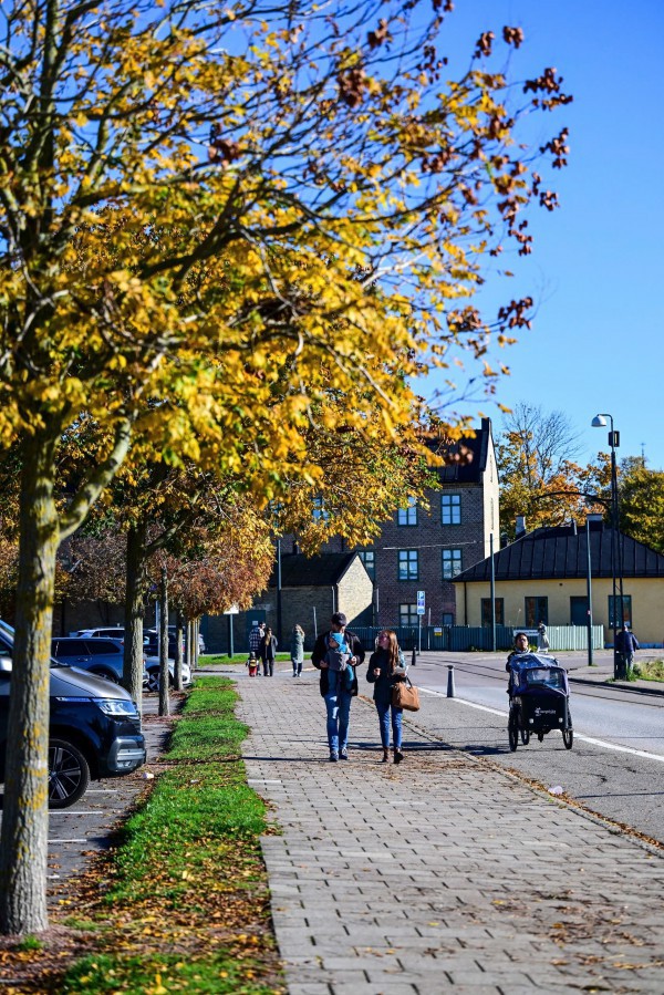 Bay thẳng tới xứ sở chuyện cổ tích Andersen