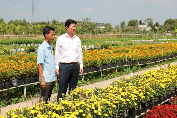 Biến vườn hoa kiểng thành điểm check-in, nông dân Sa Đéc thu tiền triệu mỗi ngày