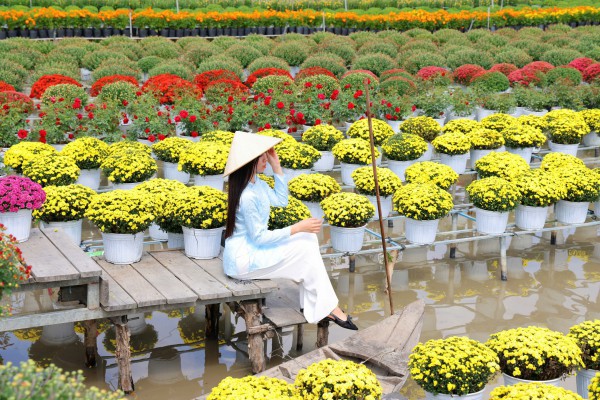 Biến vườn hoa kiểng thành điểm check-in, nông dân Sa Đéc thu tiền triệu mỗi ngày