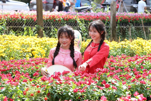 Biến vườn hoa kiểng thành điểm check-in, nông dân Sa Đéc thu tiền triệu mỗi ngày