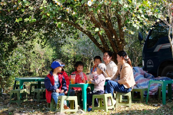 Bình Liêu mùa hoa sở gọi bước du khách