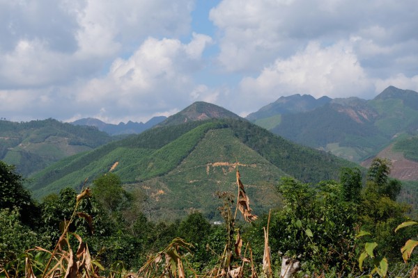 Bình Liêu mùa hoa sở gọi bước du khách