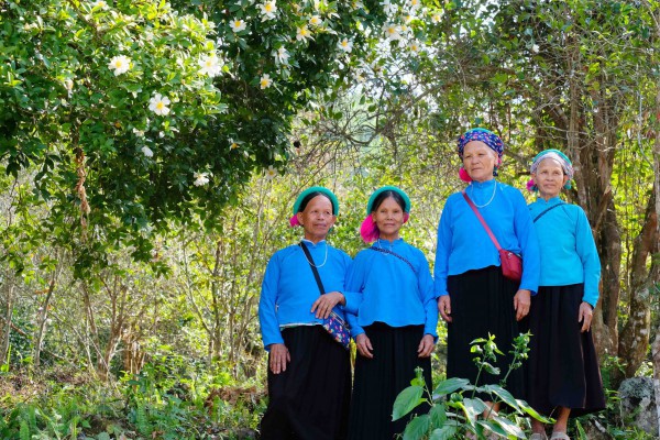 Bình Liêu mùa hoa sở gọi bước du khách