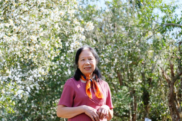 Bình Liêu mùa hoa sở gọi bước du khách