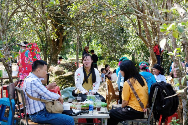 Bình Liêu mùa hoa sở gọi bước du khách