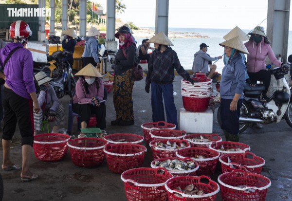 Chợ cá Cửa Tùng tấp nập du khách 