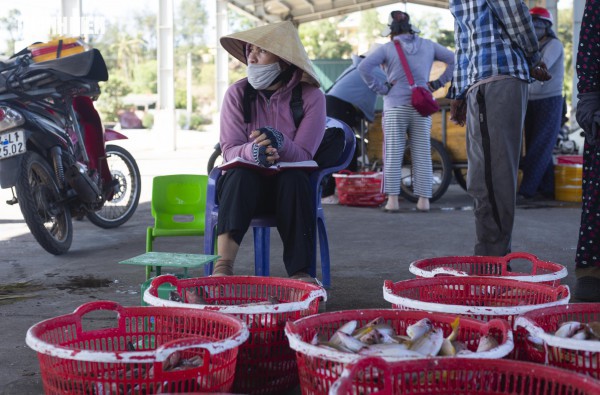 Chợ cá Cửa Tùng tấp nập du khách 