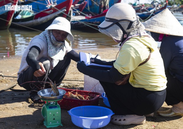 Chợ cá Cửa Tùng tấp nập du khách 