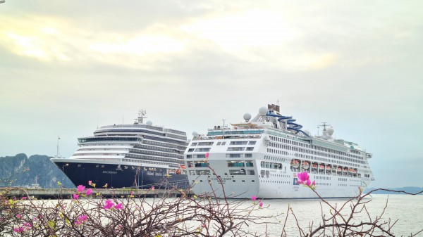Hạ Long đón hơn 3.100 khách quốc tế từ 2 siêu du thuyền