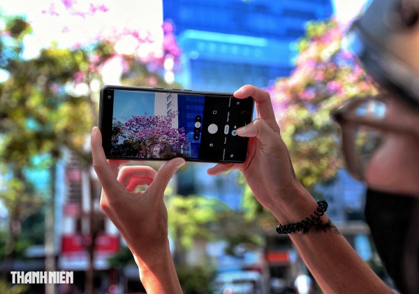 Hoa kèn hồng nở rộ giữa trung tâm TP.HCM, nhuộm hồng đường Hàm Nghi