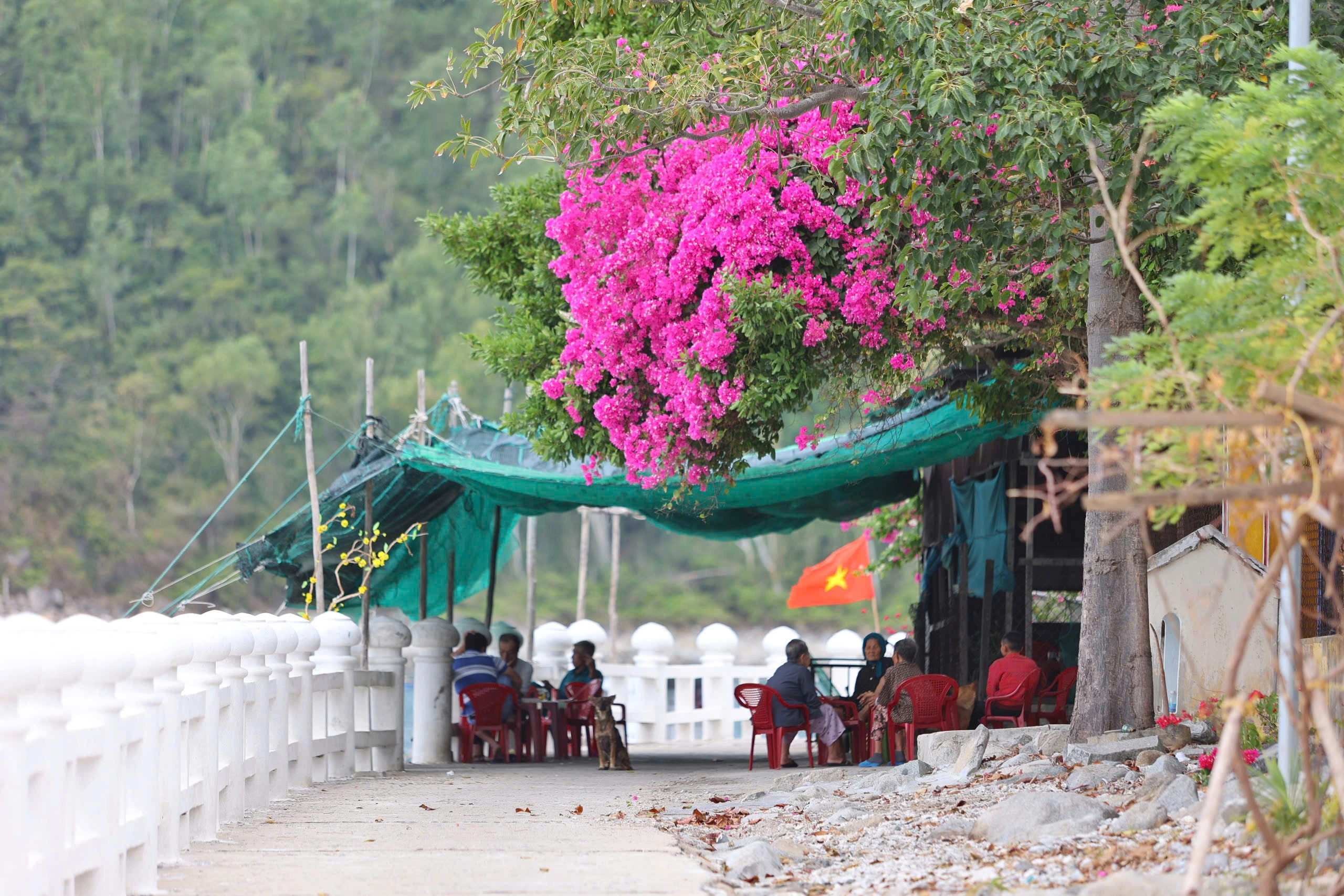 Khám phá non nước Bích Đầm bình yên trong vịnh Nha Trang