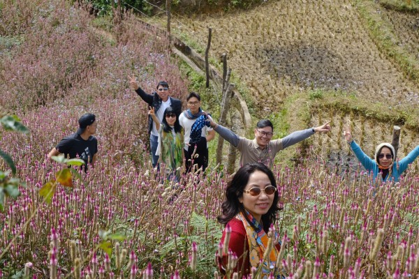 Lạc lối ở Mù Cang Chải mùa hoa Chi Pâu