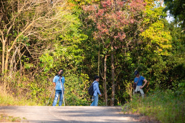 Lên bán đảo Sơn Trà mùa thay lá, ngắm Lên bán đảo Sơn Trà mùa thay lá, ngắm