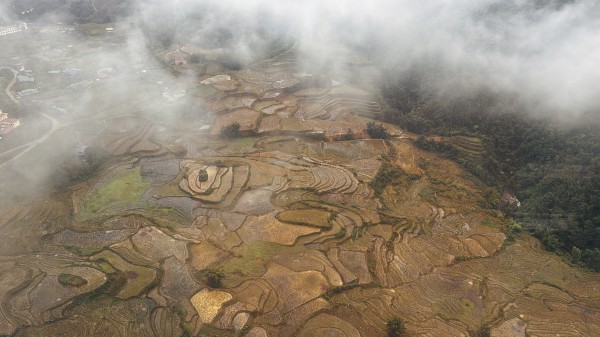 Mây săn người trên đỉnh Fansipan