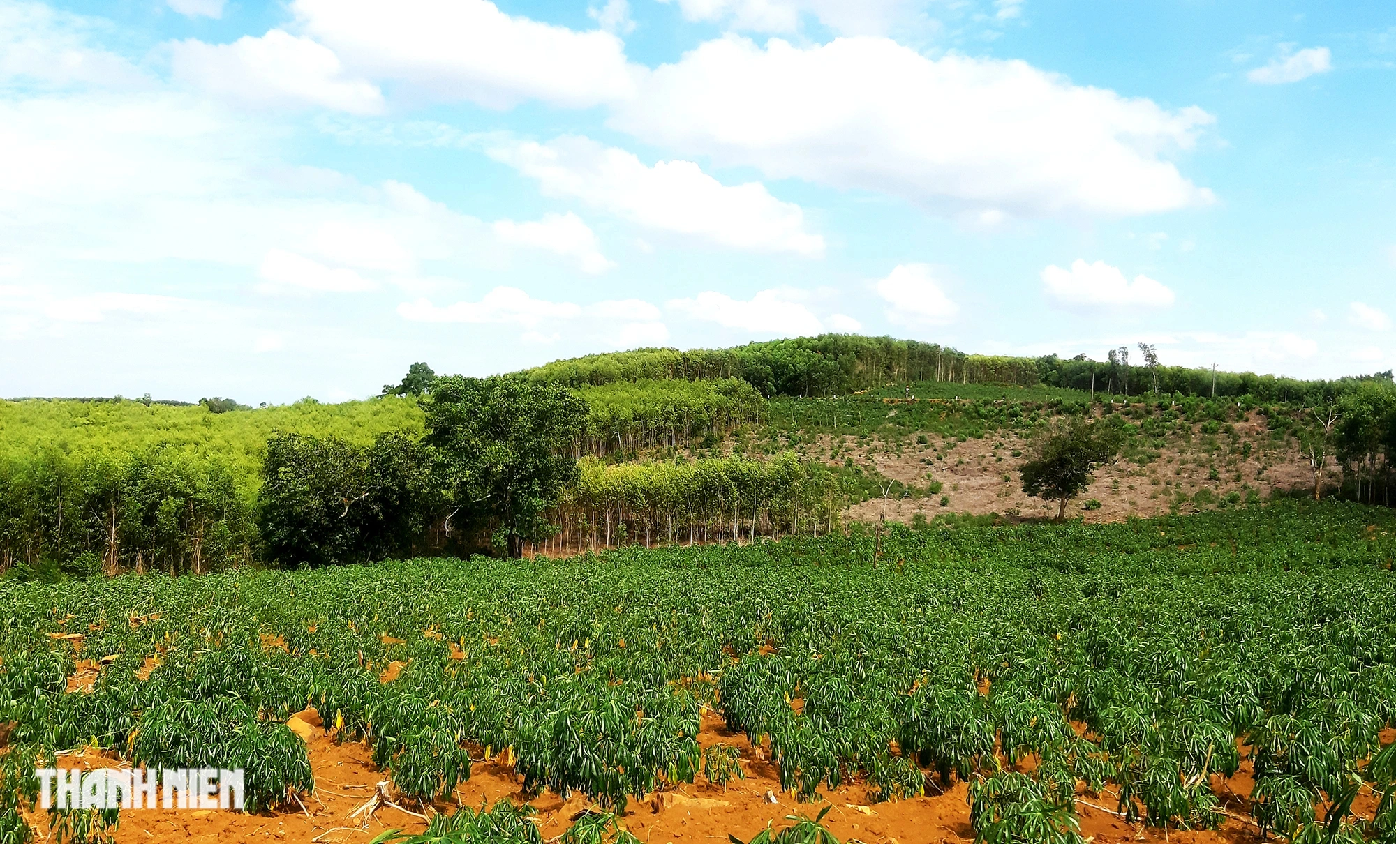 Miền cao nguyên mát lành giữa Phú Yên