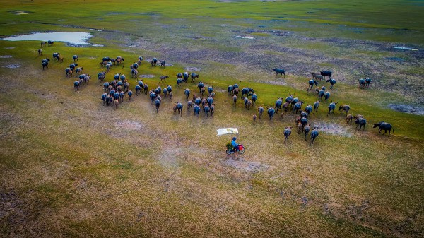 Một ngày ở Tây Ninh: Ngất ngây trước vẻ đẹp 