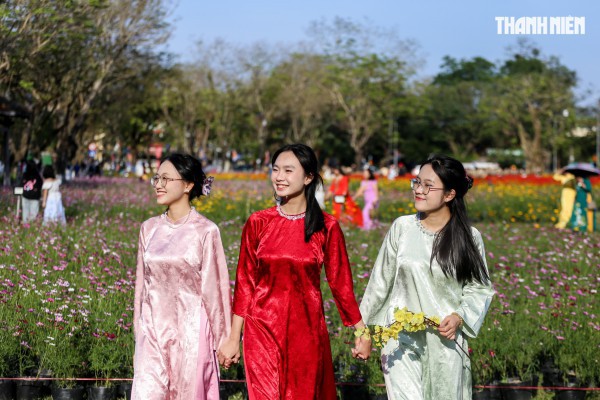 Ngắm đóa sen khổng lồ kết từ 50.000 chậu hoa khoe sắc bên kinh thành Huế