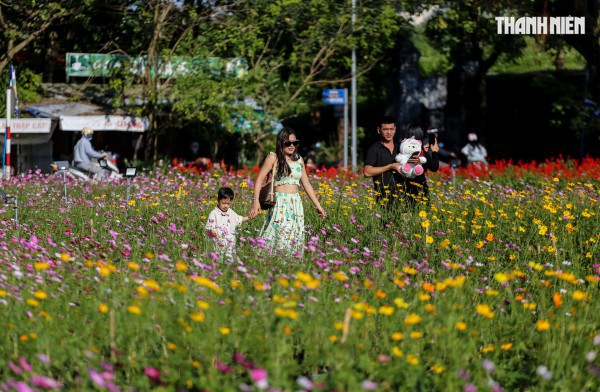 Ngắm đóa sen khổng lồ kết từ 50.000 chậu hoa khoe sắc bên kinh thành Huế