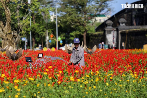 Ngắm đóa sen khổng lồ kết từ 50.000 chậu hoa khoe sắc bên kinh thành Huế