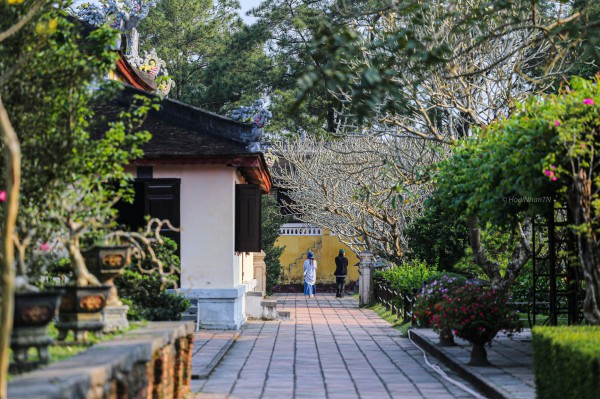 Những 