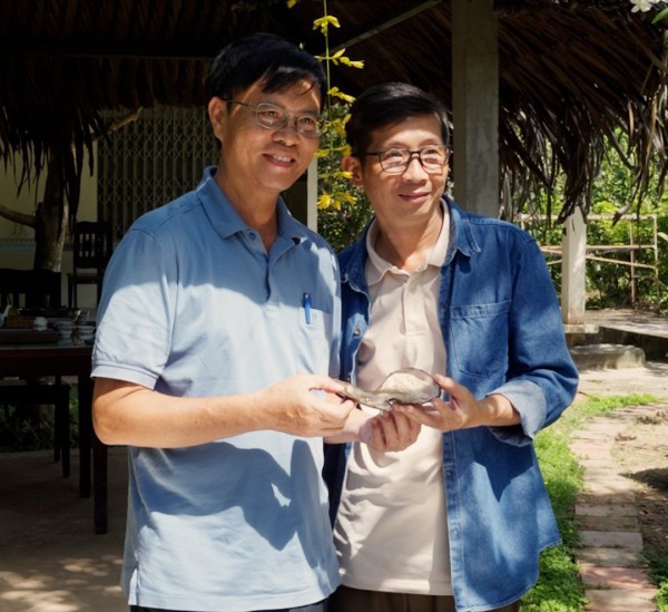 Nuôi ngọc trai ở cù lao để làm du lịch