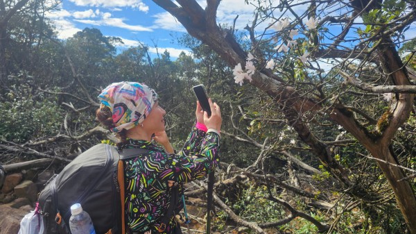 Quảng Trị có thêm tour du lịch trekking chinh phục đỉnh Voi Mẹp Quảng Trị có thêm tour du lịch trekking chinh phục đỉnh Voi Mẹp