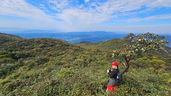 Quảng Trị có thêm tour du lịch trekking chinh phục đỉnh Voi Mẹp Quảng Trị có thêm tour du lịch trekking chinh phục đỉnh Voi Mẹp