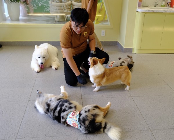 TP.HCM có quán kem độc nhất vô nhị, thiên đường cho người mê cún cưng