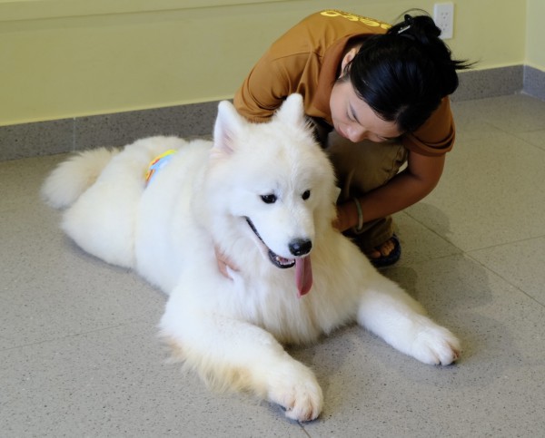 TP.HCM có quán kem độc nhất vô nhị, thiên đường cho người mê cún cưng