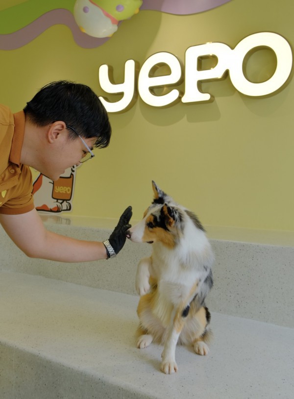 TP.HCM có quán kem độc nhất vô nhị, thiên đường cho người mê cún cưng