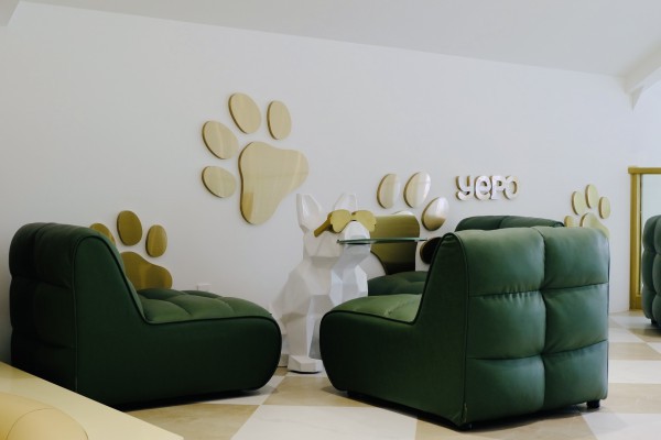 TP.HCM có quán kem độc nhất vô nhị, thiên đường cho người mê cún cưng