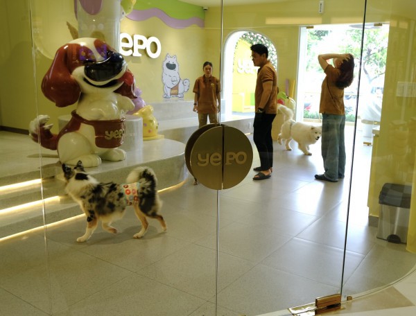 TP.HCM có quán kem độc nhất vô nhị, thiên đường cho người mê cún cưng