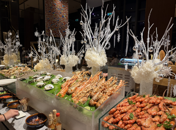 Trời trở lạnh 19 độ, TP.HCM thắp sáng hàng loạt cây thông Noel