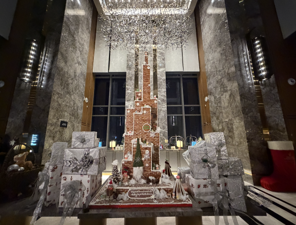 Trời trở lạnh 19 độ, TP.HCM thắp sáng hàng loạt cây thông Noel