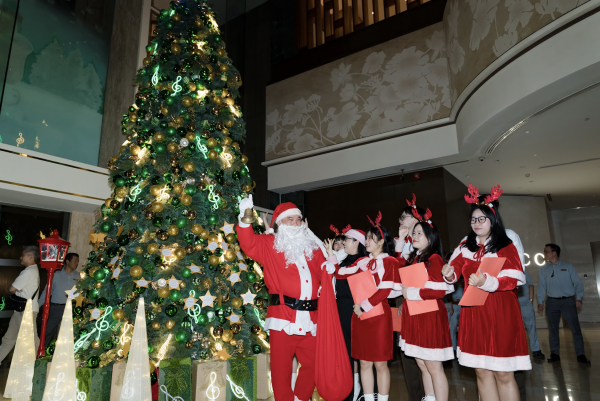 Trời trở lạnh 19 độ, TP.HCM thắp sáng hàng loạt cây thông Noel