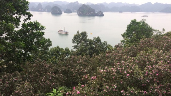 Vào top 100 thế giới, bãi tắm Soi Sim vẫn đóng cửa