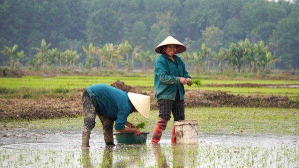 Vẻ đẹp cổ kính của kinh đô nhà Hồ hơn 600 năm tuổi