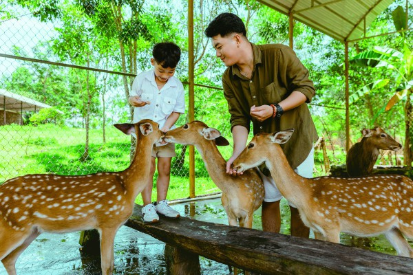 Yang Bay - Vẻ đẹp bình yên chốn đại ngàn