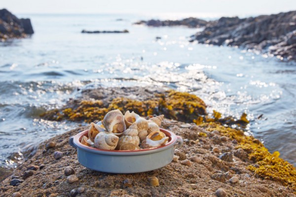 “Savour Seafood Ireland”: Bữa tiệc hải sản thịnh soạn đến từ Ireland