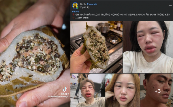 Bánh trứng kiến đang 