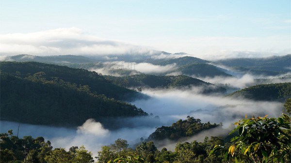 Cá nục kho măng ở Kon Tum: Cuộc gặp gỡ giữa núi đại ngàn và hơi thở biển khơi