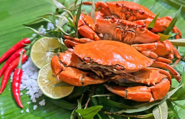 Cua yếm vuông Cà Mau: Đặc sản khiến dân sành ăn 