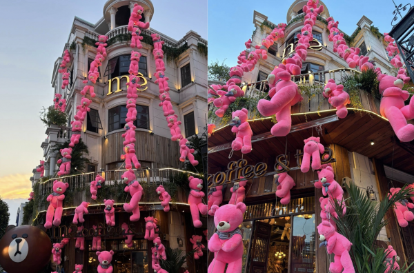 Gấu bông Gấu bông
